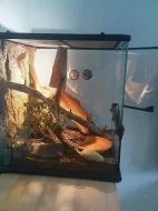 Prodám Terárium