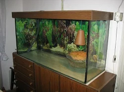 Velké akvarium