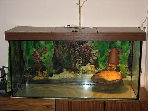 Velké akvarium