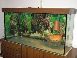 Velké akvarium