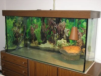 Velké akvarium