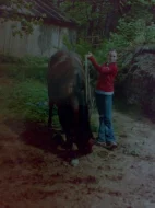  Nabídněte práci u koní --