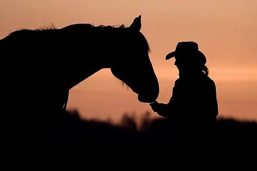 Ustájení horsemanship