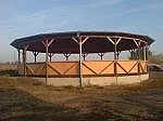 Ustajeni koni
