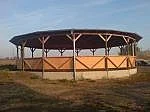 Ustajeni koni