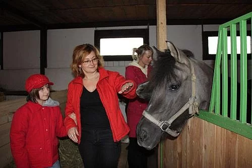 Anglické ježdění na koních v Praze