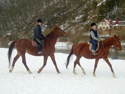 Jízdárna v Račicích nad Berounkou u Křivoklátu