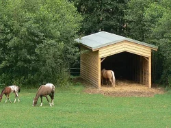 Nabízím ustájení v nové rodinné stáji