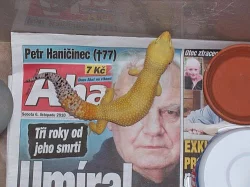 Omezení chovu -