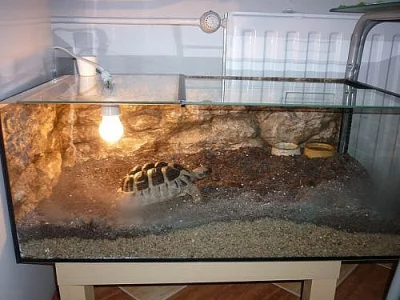 Prodam terarium