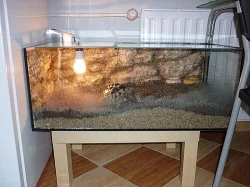 Prodam terarium