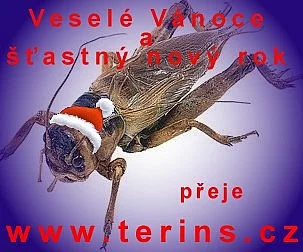 Veselé Vánoce