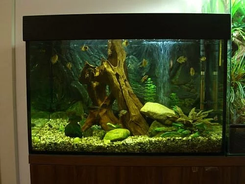 Akvárium 200L