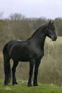 Nabídka ježdění