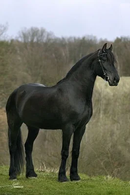 Nabídka ježdění