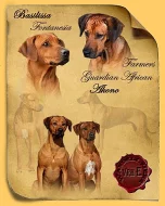 Rhodéský ridgeback -štěňátka s PP