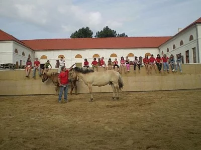 tábory a víkendy na koni