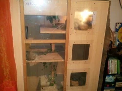 Hroznýš Královský a velké terarium