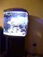 Mořské akvárium Biotop Cube 130