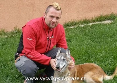 Výchova a výcvik psů v Praze