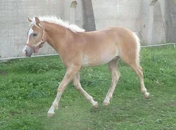 Hodní kluci