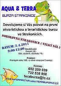 AQUA & TERRA BURZA STRAKONICE
