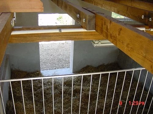 Nabím ustájení - pevné boxy padokového typu