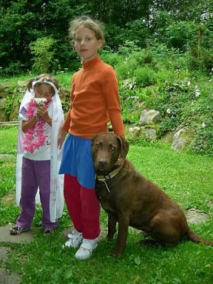 Zadám štěňata Chesapeake Bay Retriever s PP