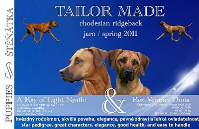 Rhodesian Ridgeback