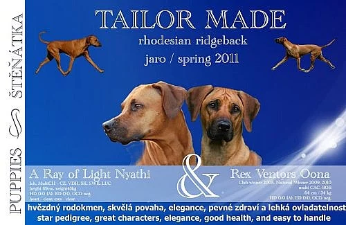 Rhodesian Ridgeback