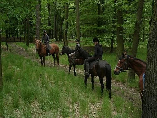 PŘIJMEME NOVÉ ČLENY DO KLUBU PRAHA-ZÁPAD