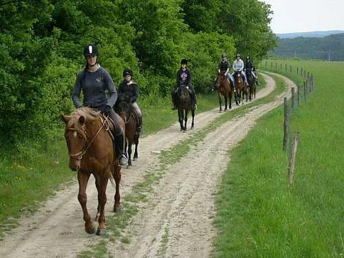 JÍZDY NA KONÍCH U PRAHY - VYJÍŽĎKY, VÝCVIK