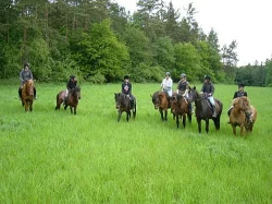 JÍZDY NA KONÍCH U PRAHY - VYJÍŽĎKY, VÝCVIK