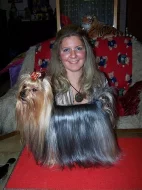 Štěňátka yorkšírského teriéra s PP