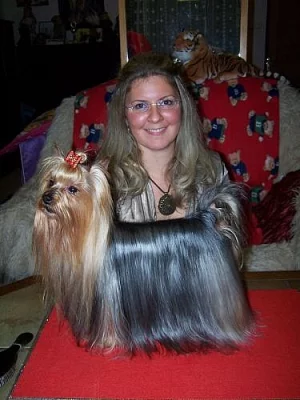 Štěňátka yorkšírského teriéra s PP