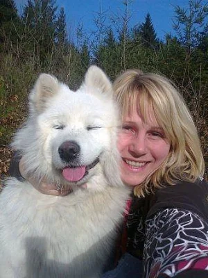štěňata samojeda