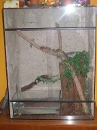 Hroznýš královský s teráriem