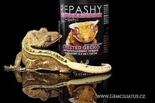 Repashy superfood - rozšířená nabídka !!