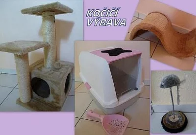 Kočičí výbava