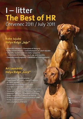 Rhodéský Ridgeback - štěňata
