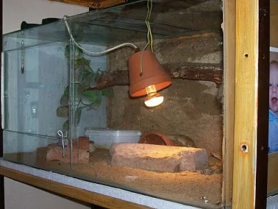 Skleněná terária