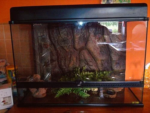 terárium ExoTerra velké