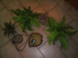 terárium ExoTerra velké