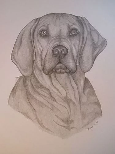 Malování