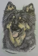 Malování