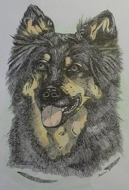 Malování