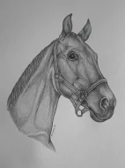 Malování koní