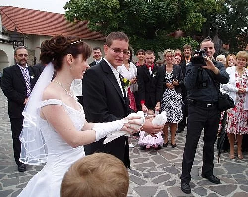 zapůjčení svatebních holubů