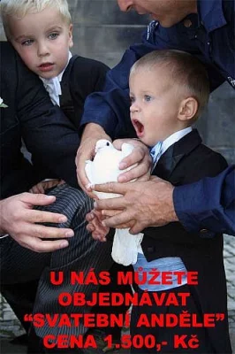 svatební holubi