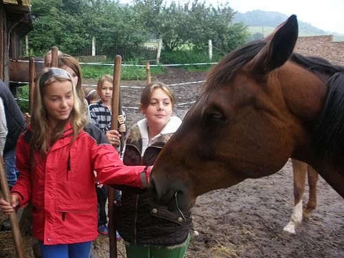 Jetdecký kroužek, nabídka volných míst